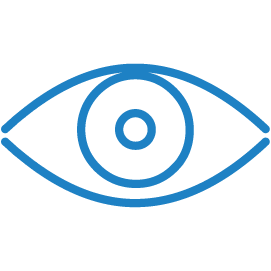 vision_1